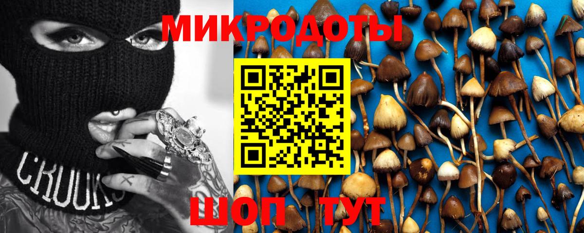 Псилоцибиновые грибы Psilocybine cubensis  Вход с VPN  Псилоцибиновые грибы Cubensis  Звенигород 